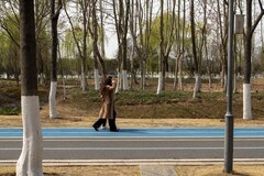 庐州印象（616）