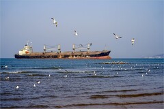 2026年第0186贴 - 威海海滨风光旅拍（0312）