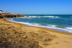 2026年第0186贴 - 威海海滨风光旅拍（0312）