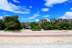 三垟湿地公园 (2)