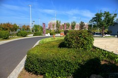 手机——小景随拍（2）