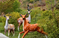水墨丹霞   兰州一景
