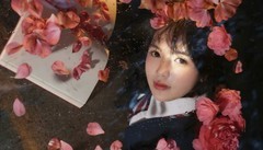 烈士公园红山茶中来打卡