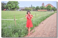 人花相间