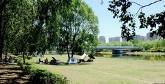 河边夏日