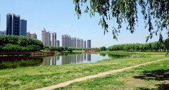河边夏日