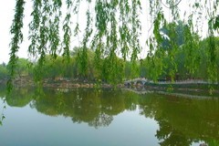 春日·长安公园