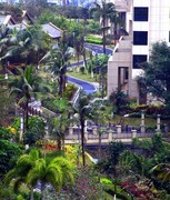 920【不老松：二游海南记实】长島兰湾楼顶俯拍景！