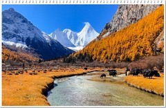 2025年-人文风光纪实抓拍-1141