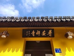 永嘉普安禅寺龙梅 (5)