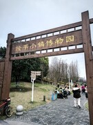 漫步星城 （1028）隆平小镇