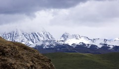 川西行----八公草原及姑弄村