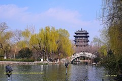大明湖春色