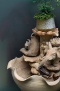 练手