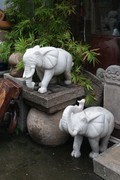 杂拍