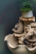 杂拍