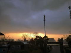 漫步星城 （1006）隆冬时节