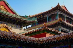 2026年第0189贴 - 故宫博物院纪实旅拍（0313）