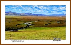 阿万仓湿地黄河九曲— 2023西行游记（甘肃254）甘南州玛曲