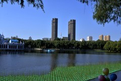 公园随拍（3）