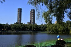 公园随拍（3）