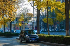 路上秋色—(续)