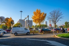 路上秋色—(续)