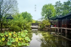 [尼康D810],苏州拙政园！