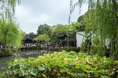 [尼康D810],苏州拙政园！