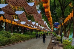 桂林 · 两江四湖 · 榕湖（2）