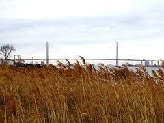 周六骑行随手拍