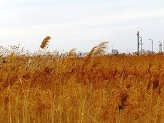 周六骑行随手拍