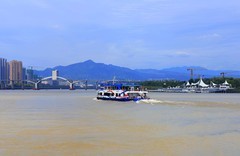 江心屿风光 (11)