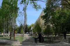 初夏——南湖公园（4）