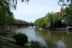 初夏——南湖公园（4）