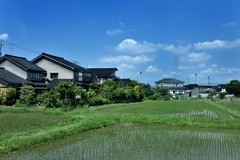日本中部升龙道印象——穿越立山黑部【3】