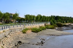 瞎吧乱拍几张（D610）