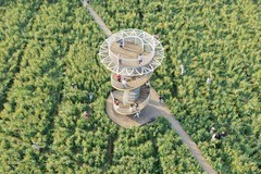 东涌官坦农业公园