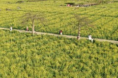 东涌官坦农业公园