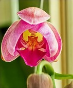 手机游拍20260310《9》