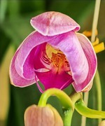 手机游拍20260310《9》