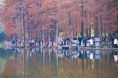 外出随拍（693）.