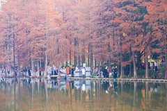 外出随拍（693）.