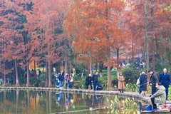 外出随拍（693）.