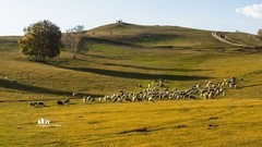 金秋乌兰布统——扣肯脑（10）