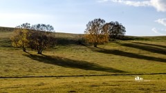 金秋乌兰布统——扣肯脑（10）