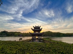 2026年- 陶然亭风光纪实拍-0404