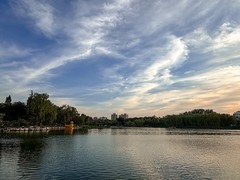 2026年- 陶然亭风光纪实拍-0404