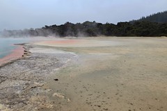 北岛--地热公园游拍（手机拍摄）三
