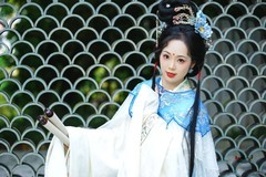 【扇窗知意】---芝枝